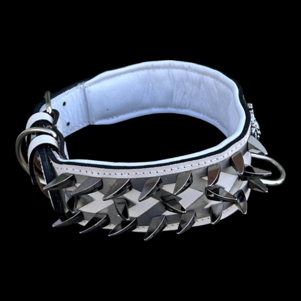 Strong breed stainless-steel lion dog collar for Cane Corso