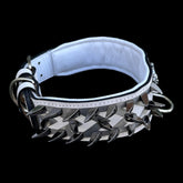 Strong breed stainless-steel lion dog collar for Cane Corso