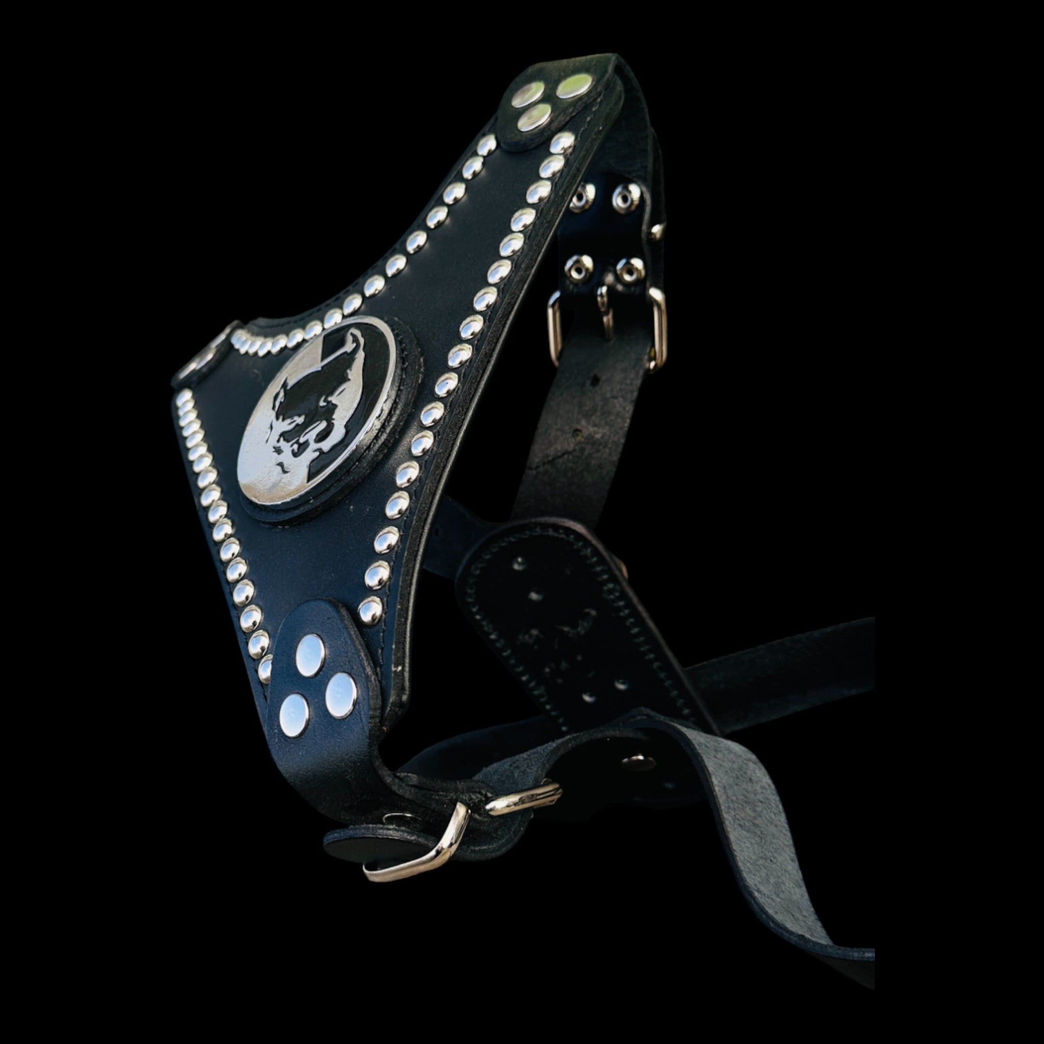 Close-up of Pitbull logo and studs on black leather harness