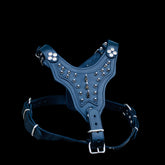 Luxury black chest harness for Cane Corso and K9