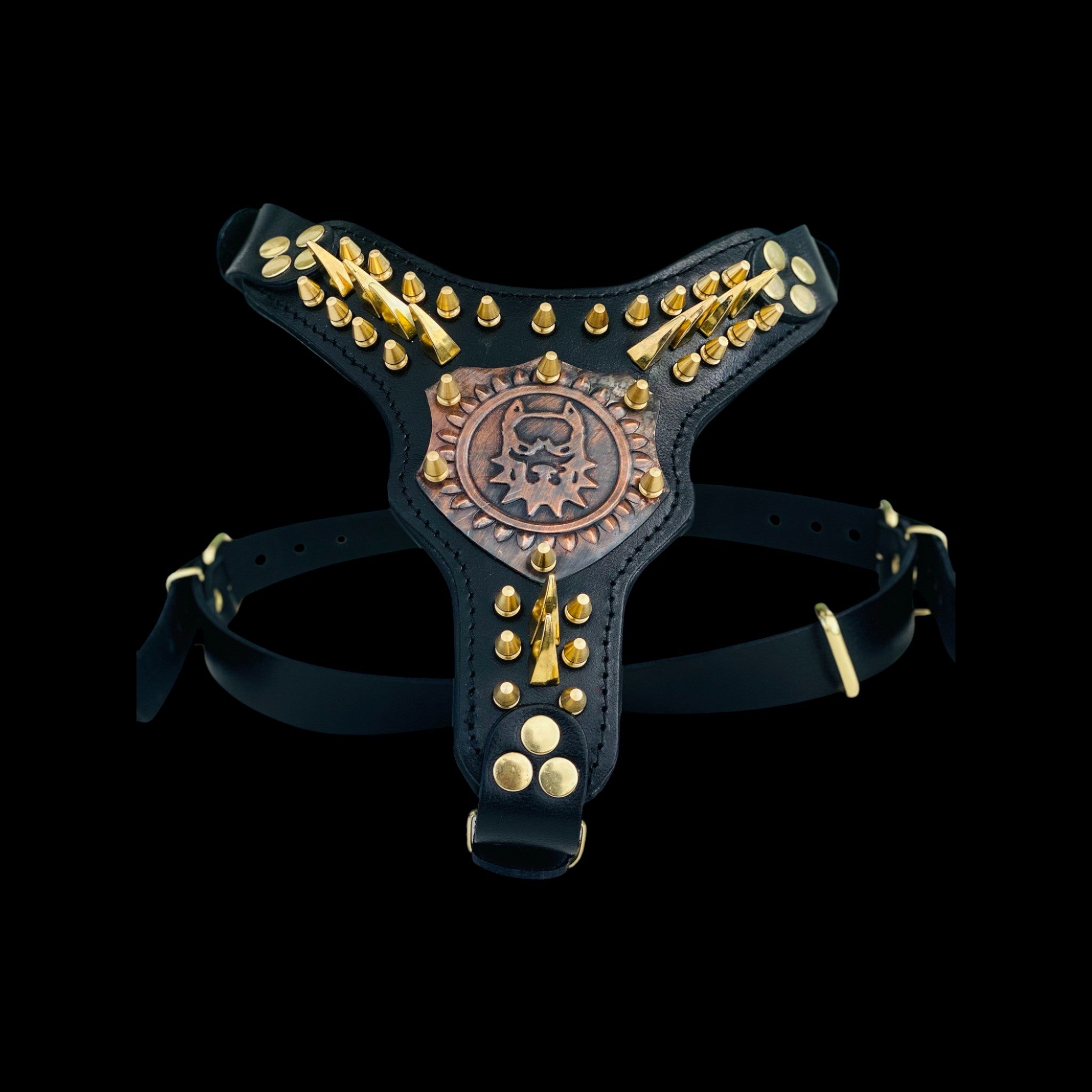 Luxury black leather harness with gold studs for Cane Corso
