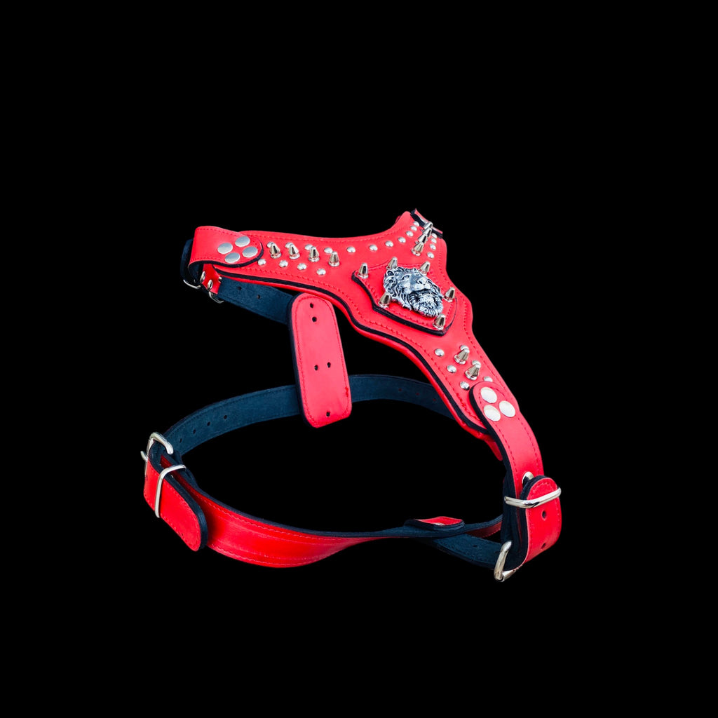 Red leather luxury harness for Cane Corso and Rottweiler