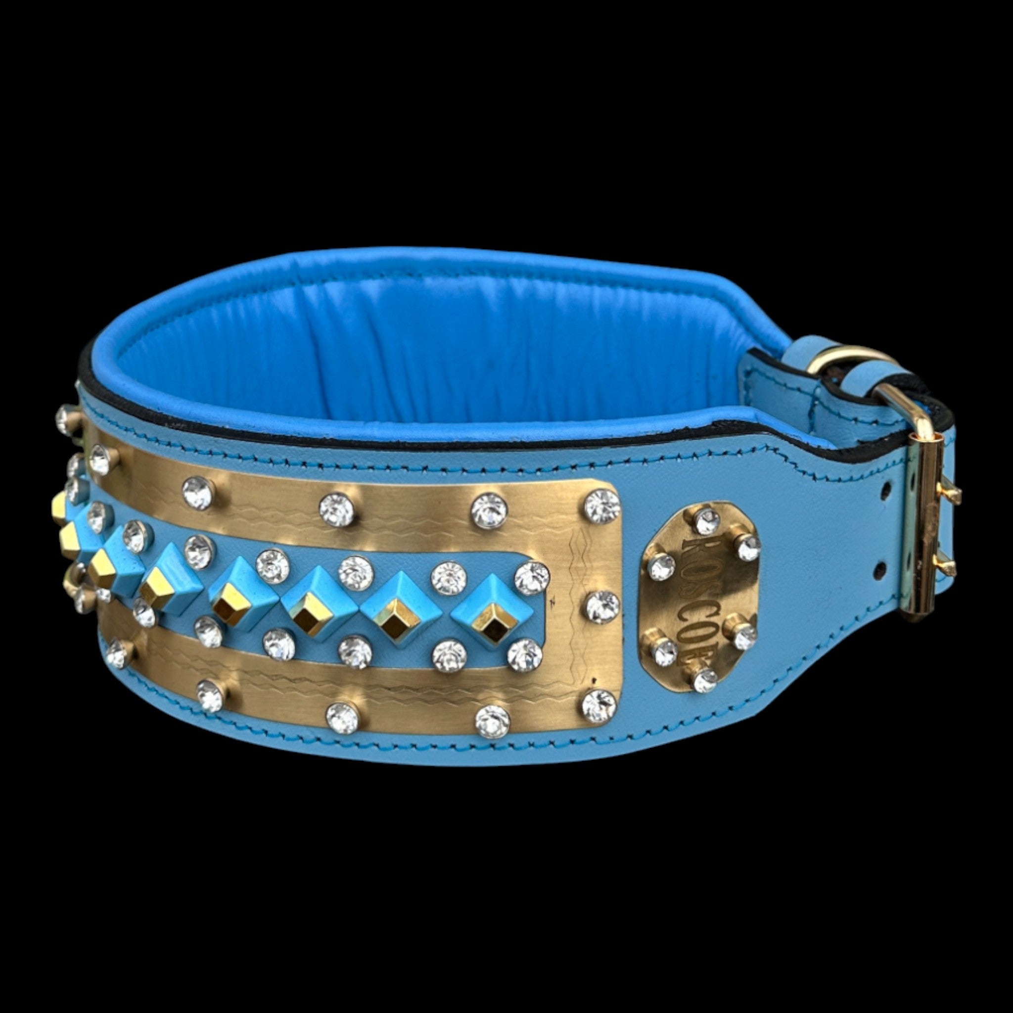 Luxury turquoise collar for Doberman and Rottweiler.