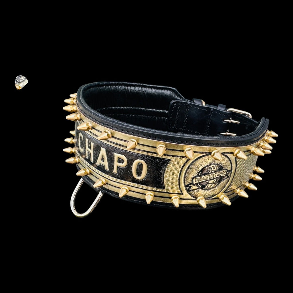 Personalized Black & Gold Leather Dog Collar & Harness Set – Handmade Spiked Design