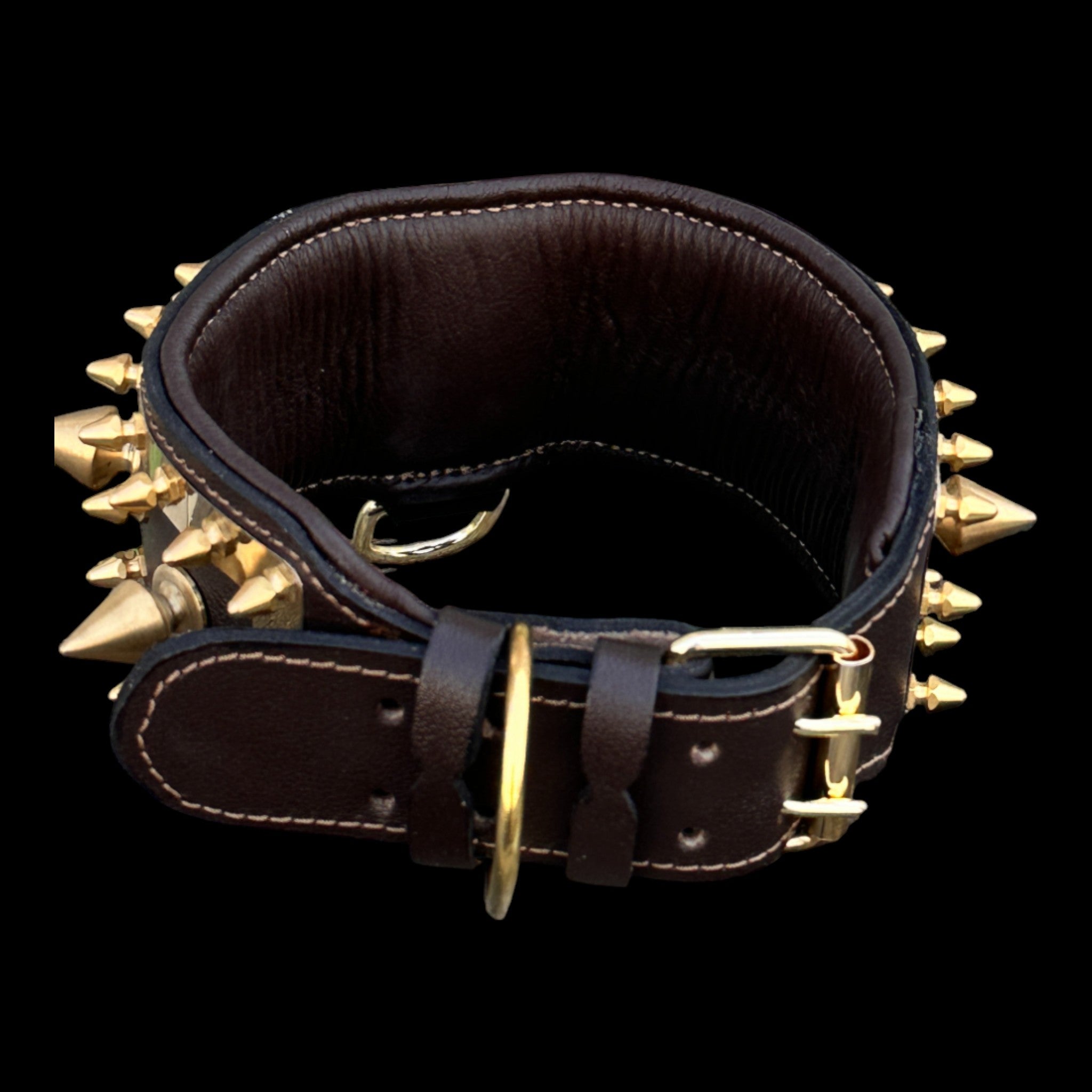 Golden Punisher Elite Dog Collar