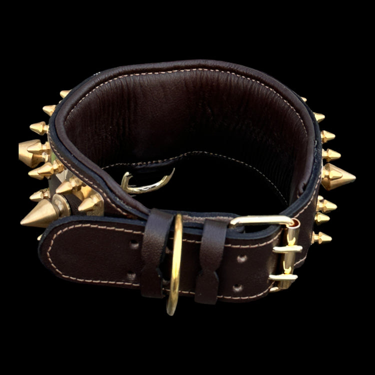 Golden Punisher Elite Dog Collar - A&C Dog Collars