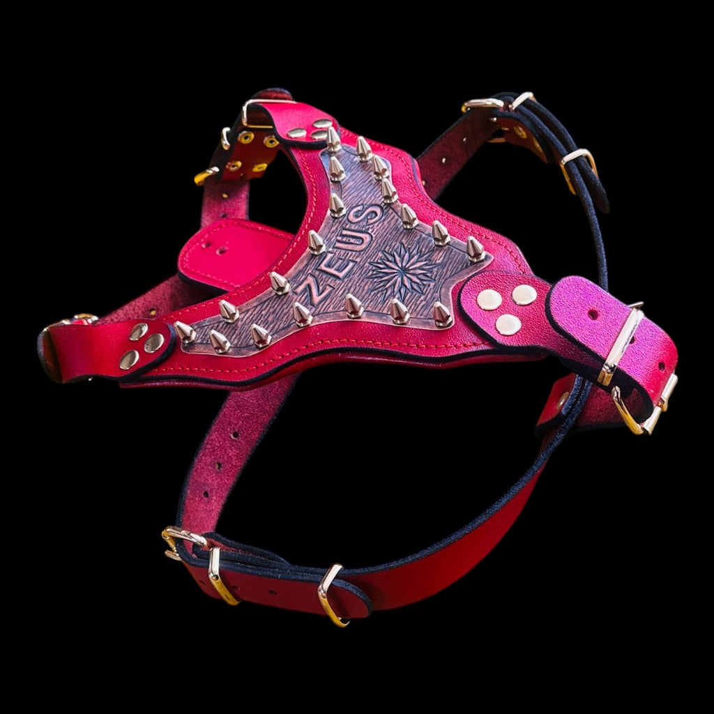 Handmade Copper Dog Collar & Harness Set – Personalized Red Leather Spiked Set
