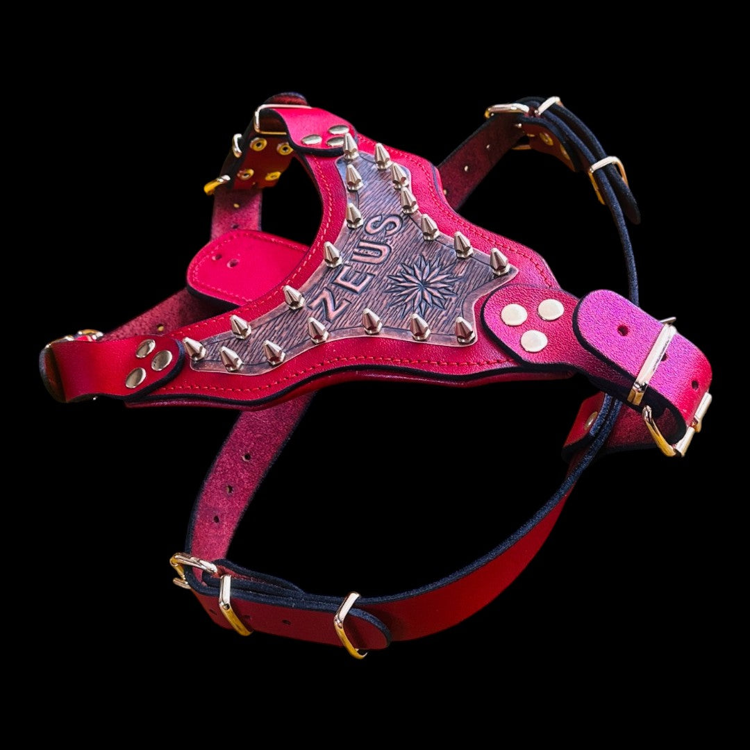 Handmade Copper Dog Collar & Harness Set – Personalized Red Leather Spiked Set