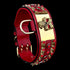 6 cm (2.36 inch) gold Punisher dog collar with red crystals
