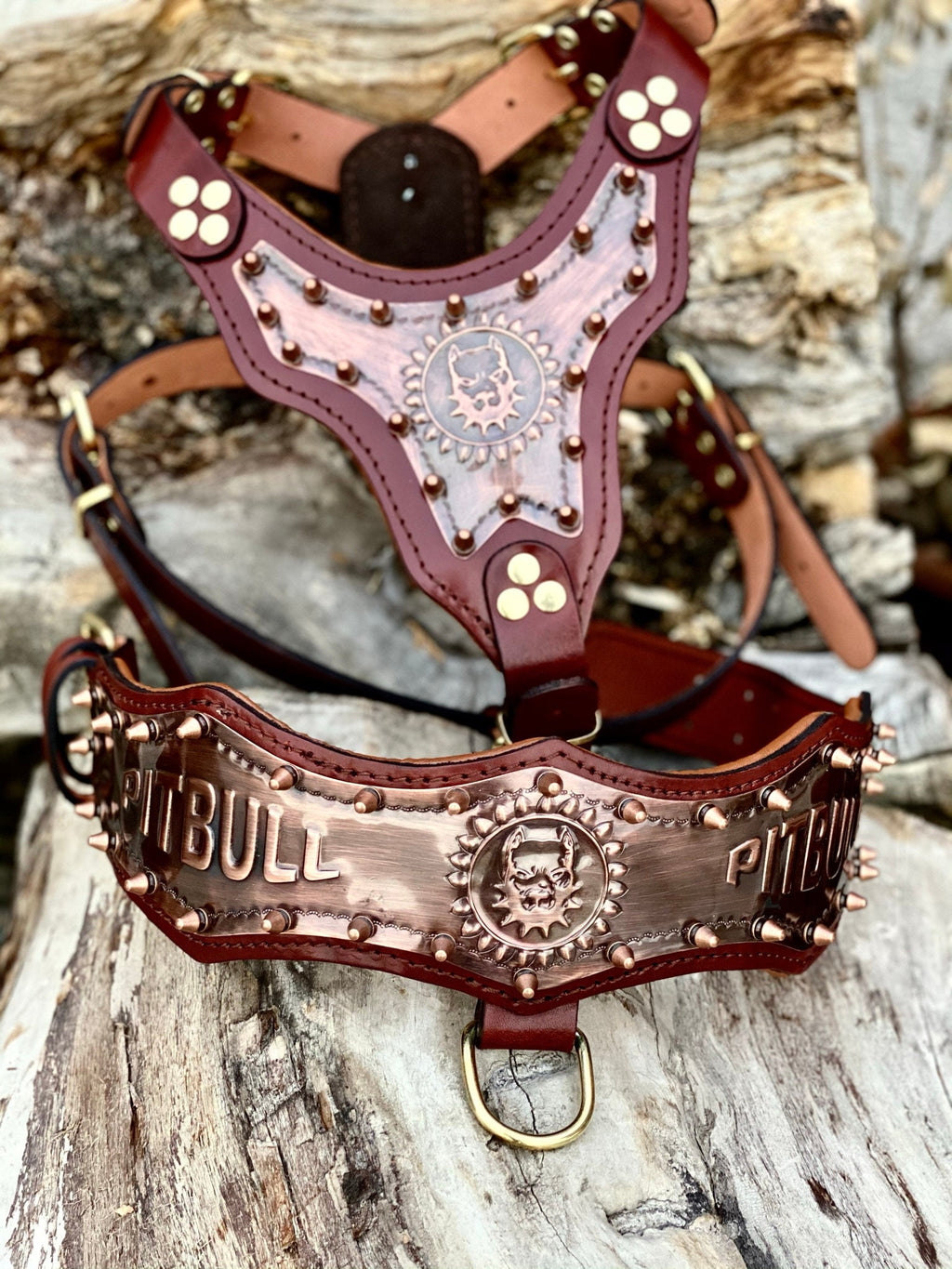 Gladyator Leather Dog Harness Walk Set: Personalized Engraved Collar