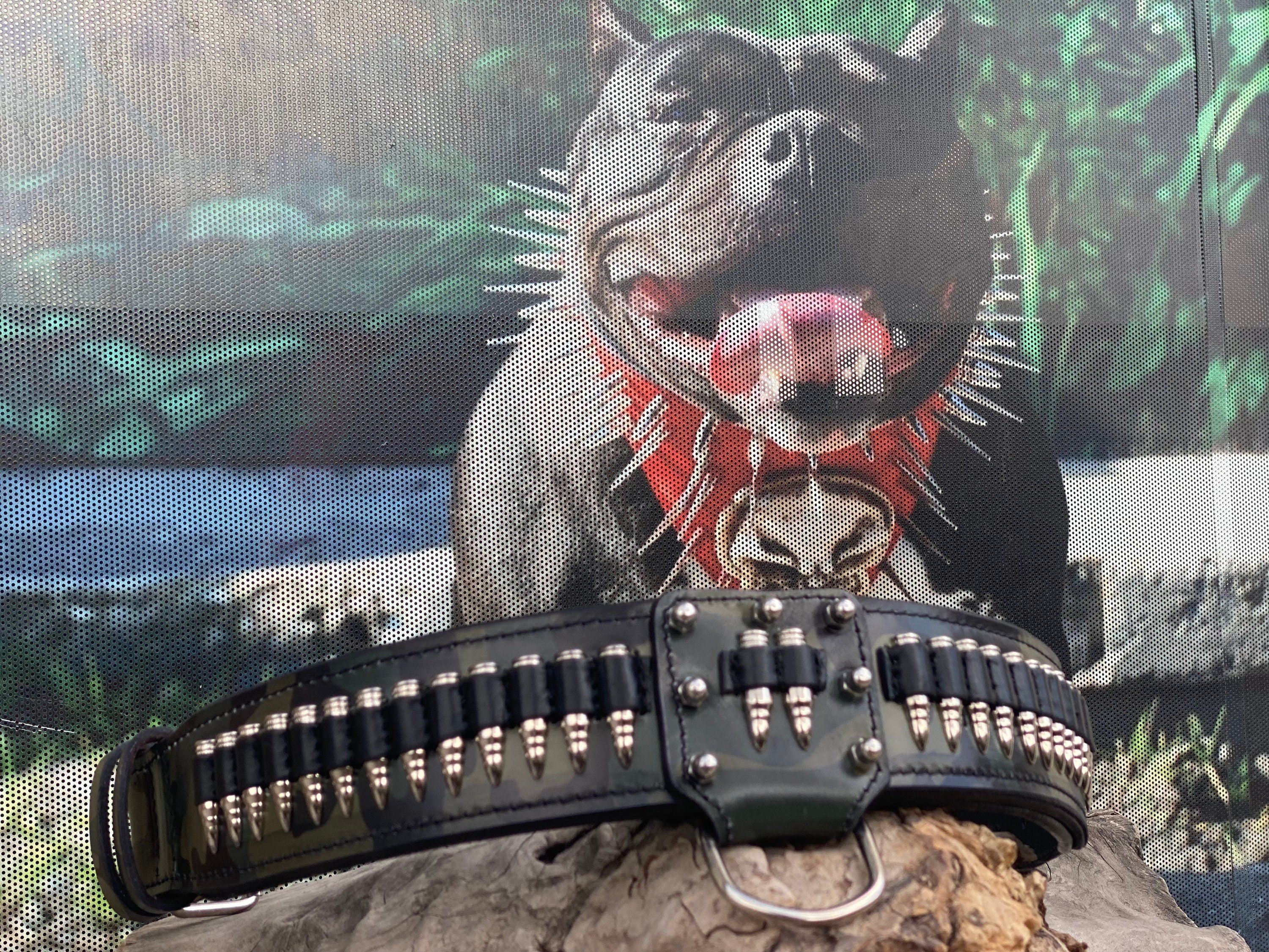 Bullet Collars | Pitbull Collars | Handmade Dog Collars | Custom Dog Collar | Dog Gift | Engraved Dog Collar | Custom Dog Collar with Name