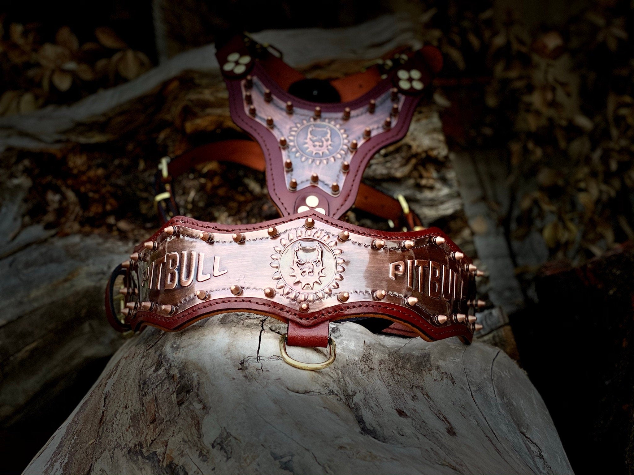 Gladyator Leather Dog Harness Walk Set: Personalized Engraved Collar