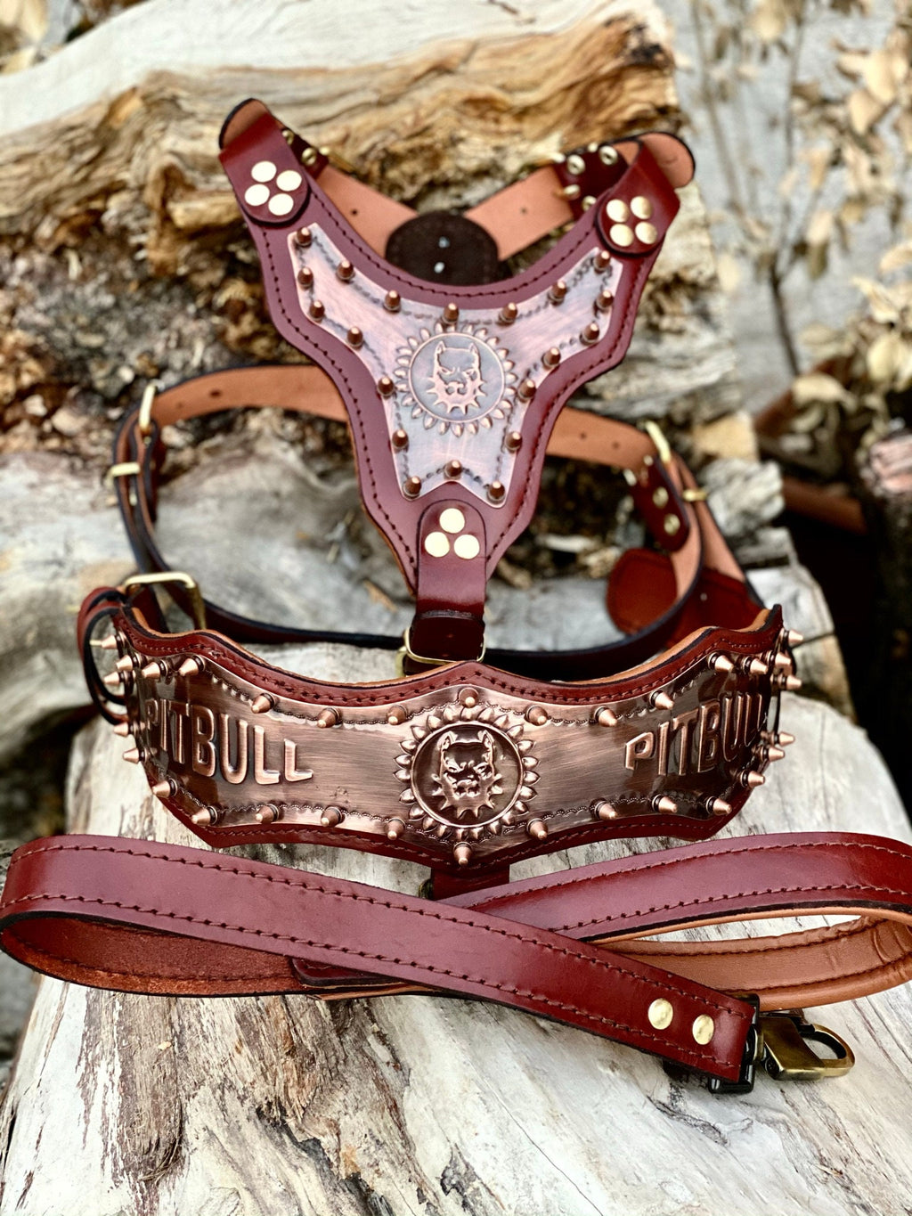 Gladyator Leather Dog Harness Walk Set: Personalized Engraved Collar