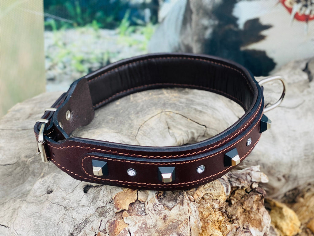 Brown Buffalo Leather Dog Collar: Black Studs & Crystals, Padded Lining