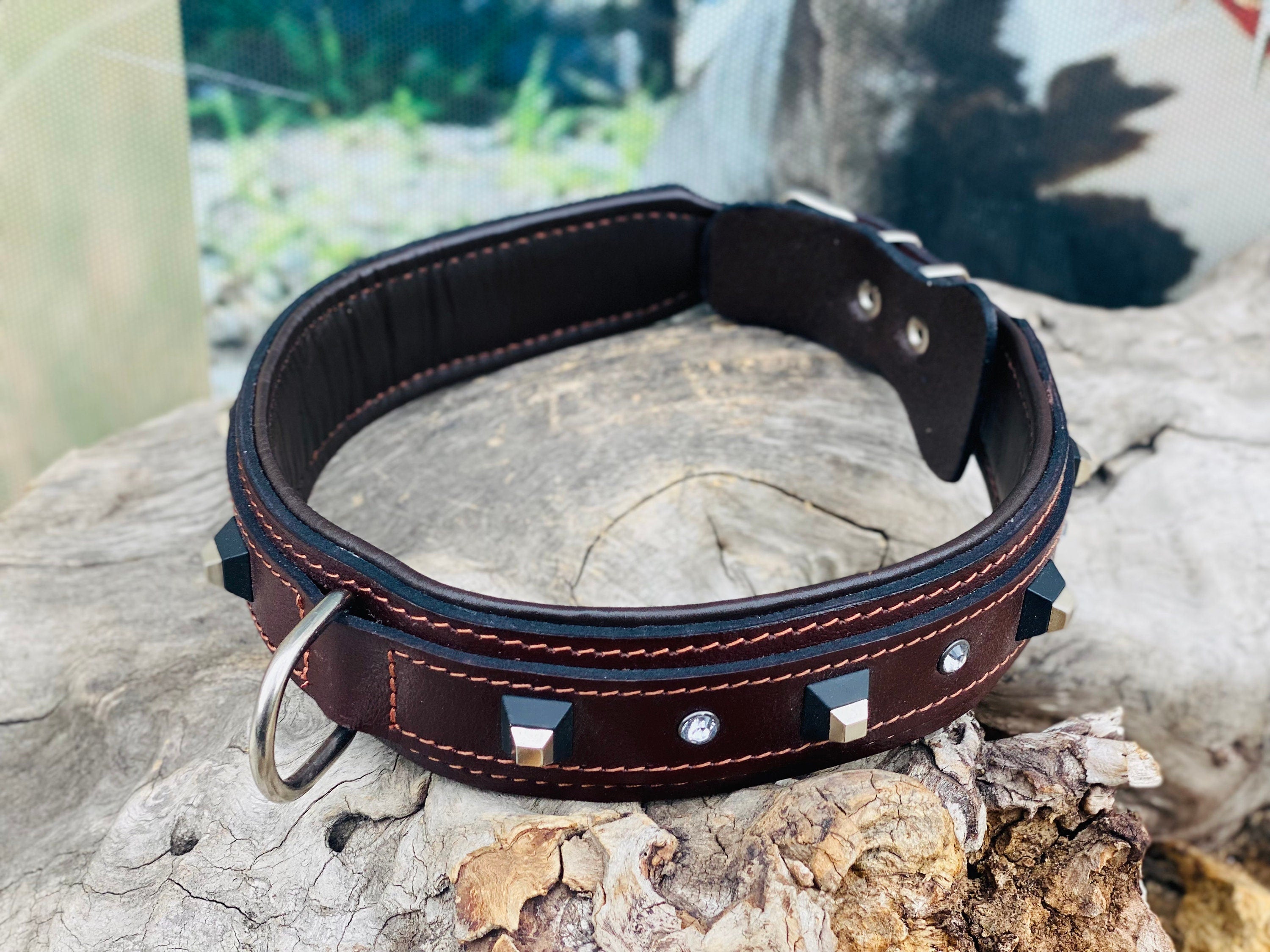 Brown Buffalo Leather Dog Collar: Black Studs & Crystals, Padded Lining