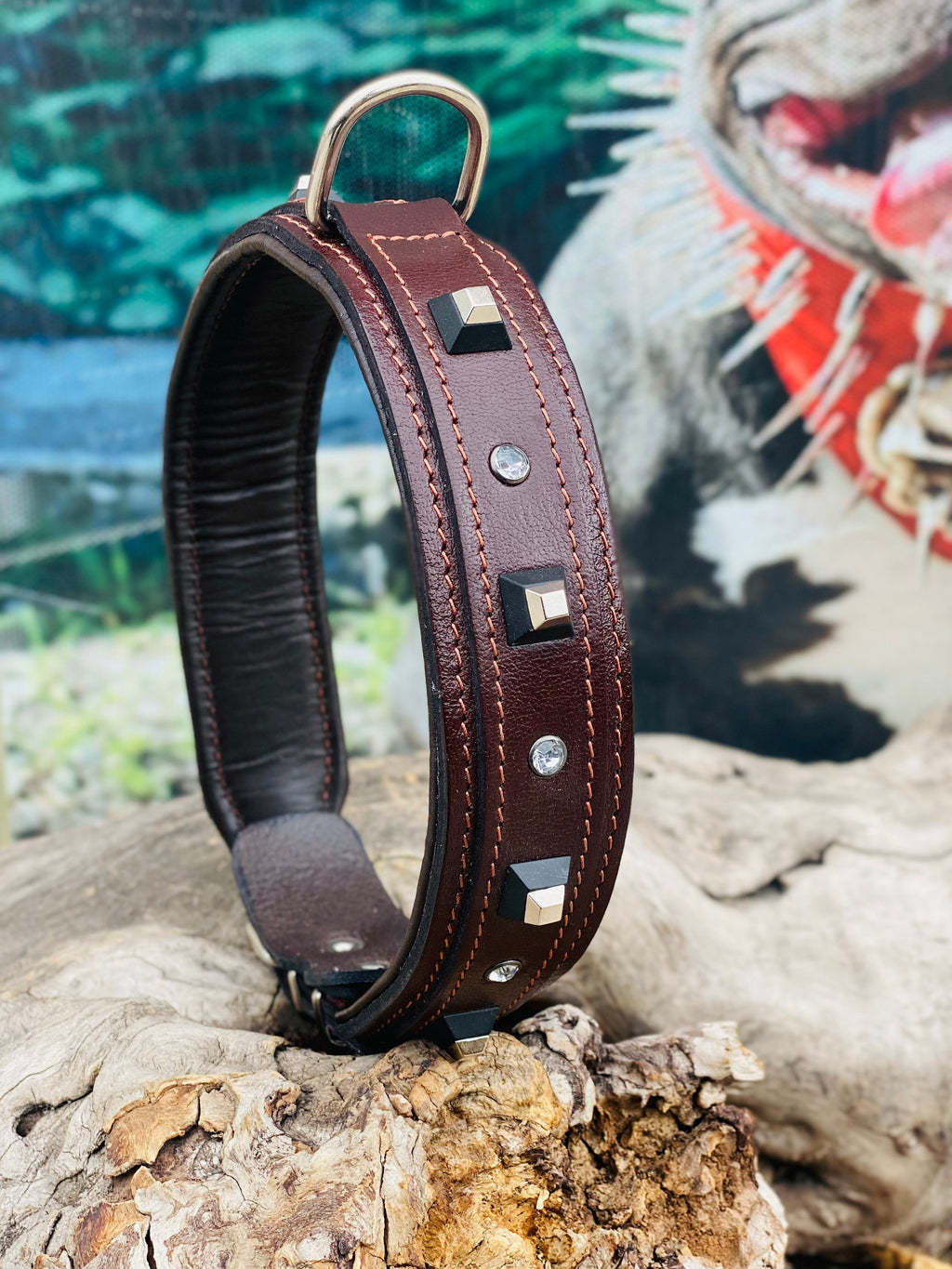 Brown Buffalo Leather Dog Collar: Black Studs & Crystals, Padded Lining