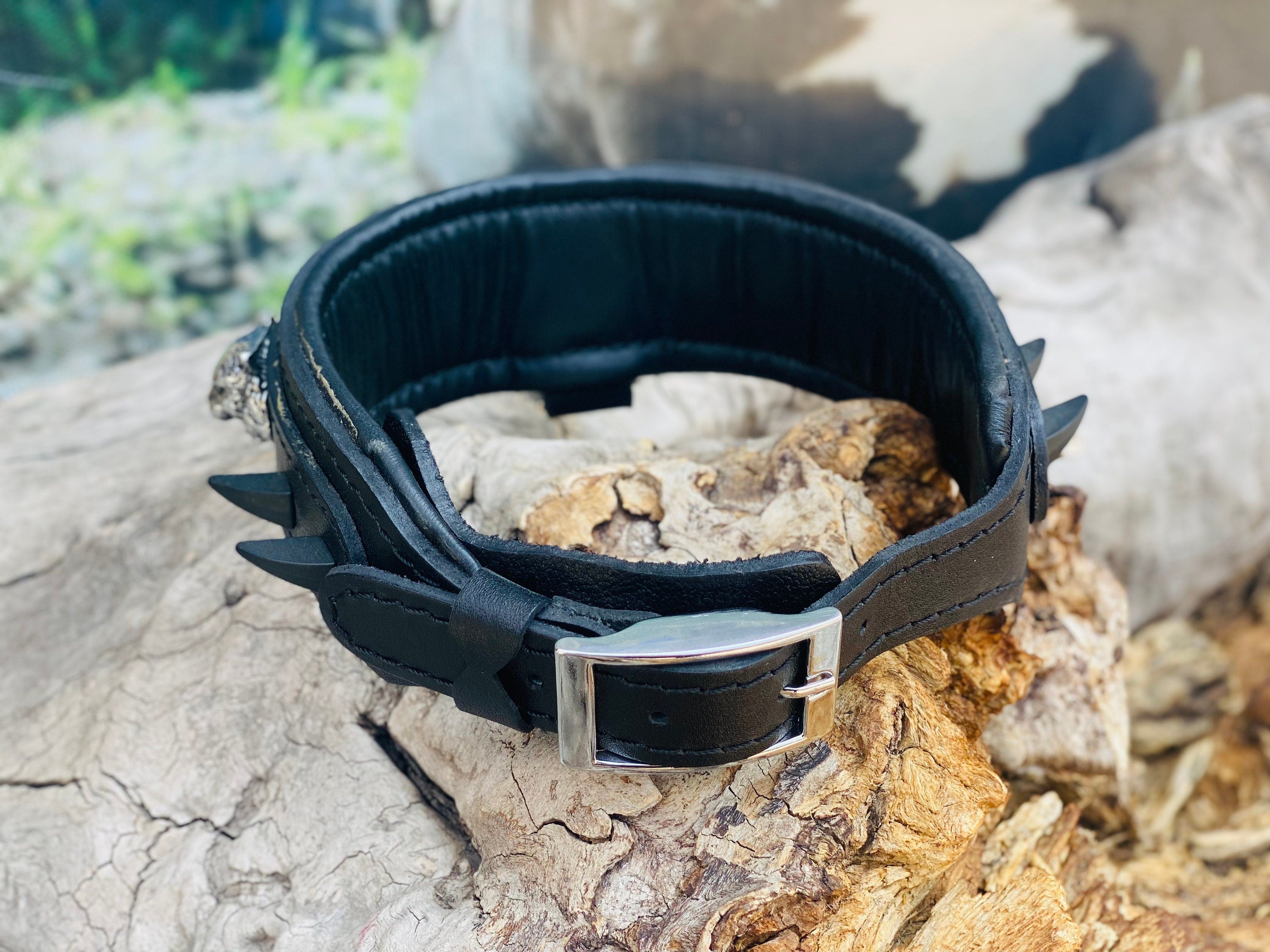 Black Buffalo Leather Dog Collar: Panther Head Studs, Matte Black Spikes
