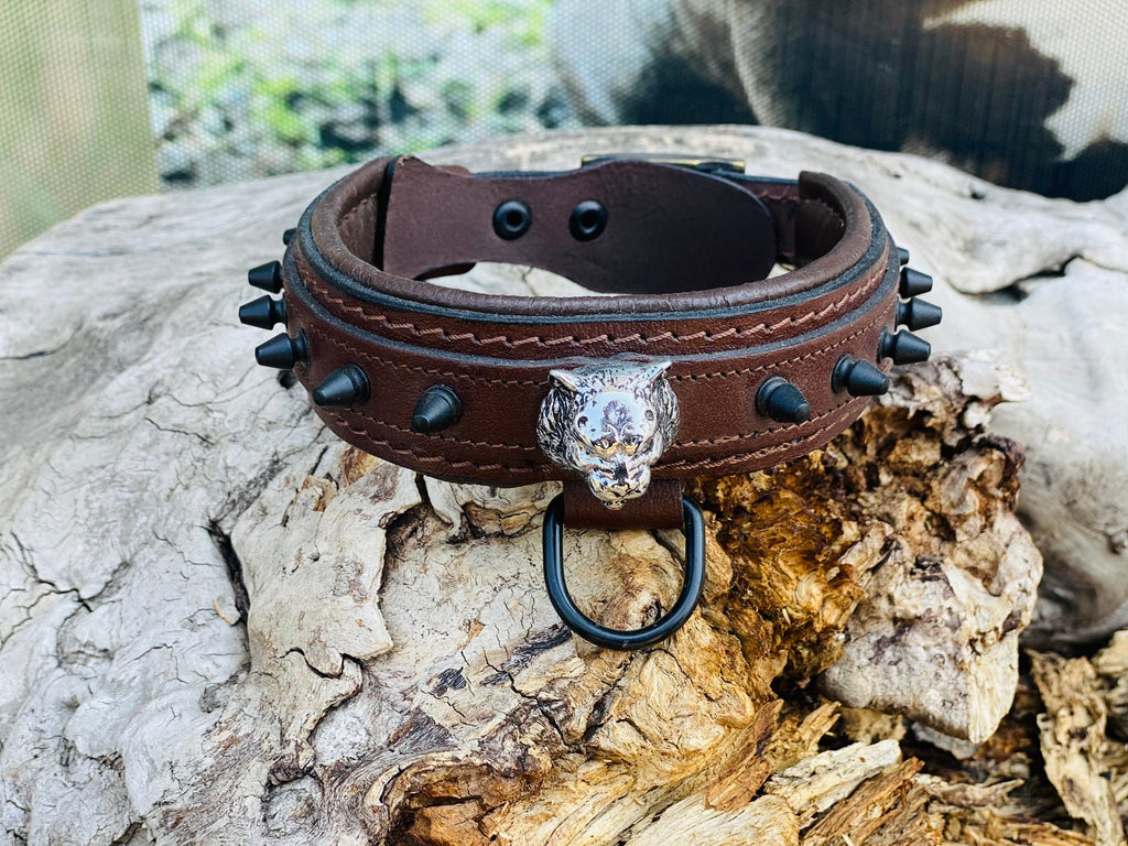 Brown Leather Spiked Dog Collar: Silver Lion Emblem, Padded Comfort