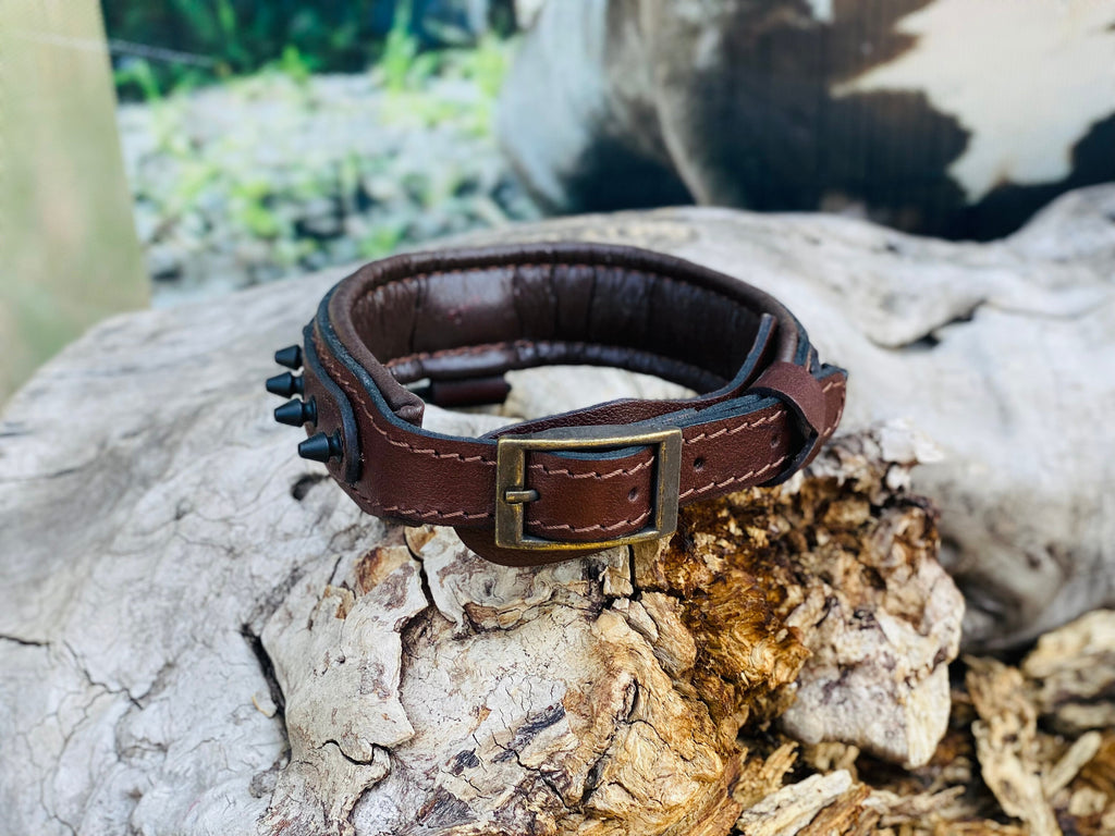 Brown Leather Spiked Dog Collar: Silver Lion Emblem, Padded Comfort