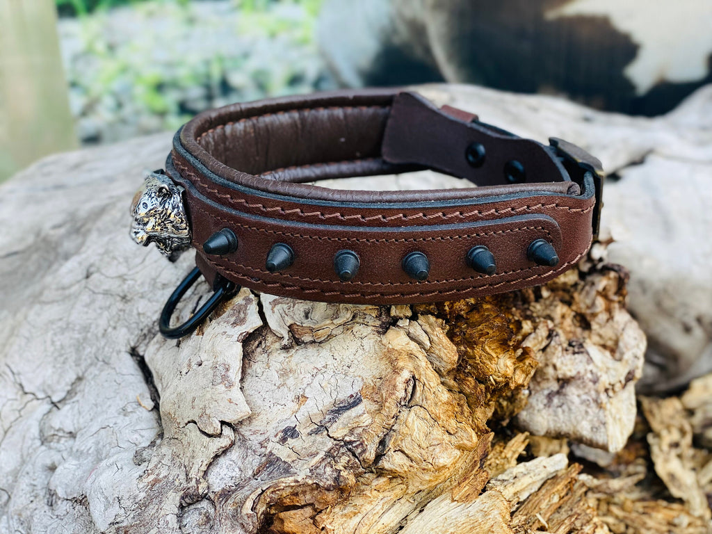 Brown Leather Spiked Dog Collar: Silver Lion Emblem, Padded Comfort