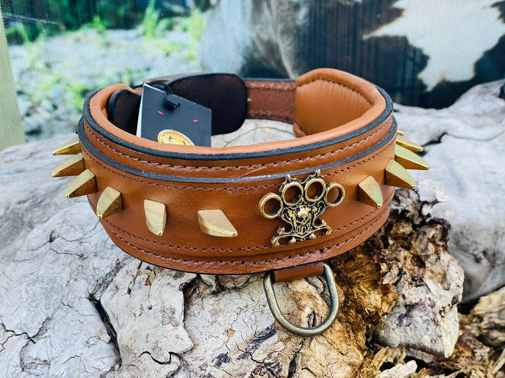 Brown Buffalo Leather Spiked Dog Collar: Handmade Brass Knuckle Emblem