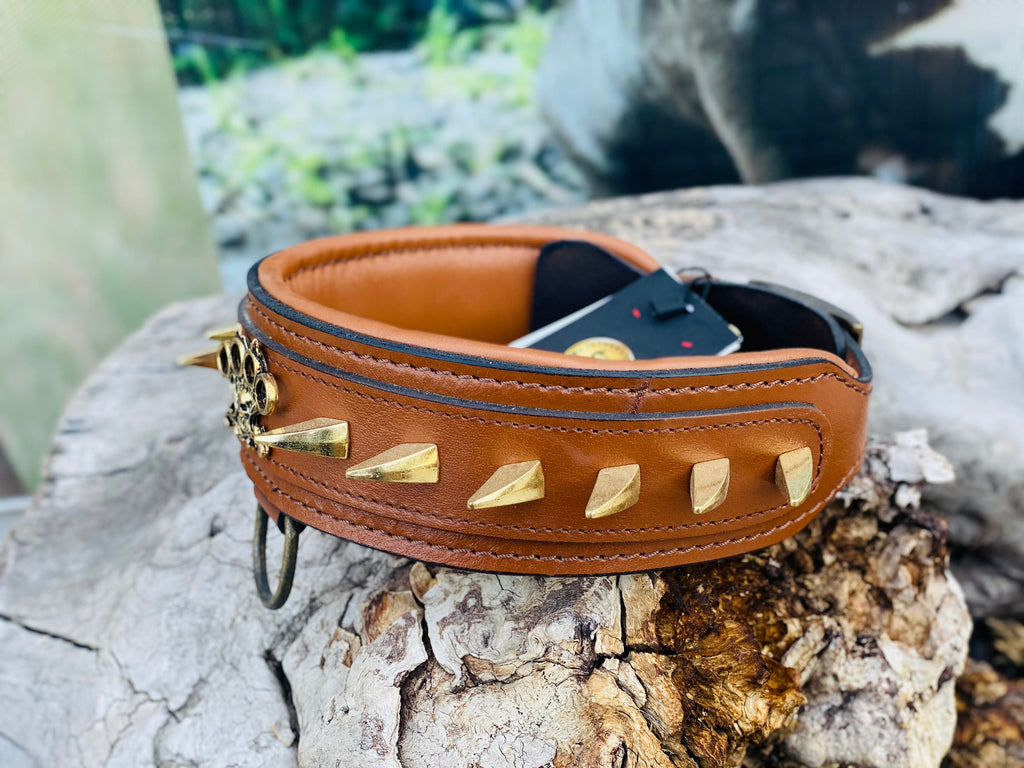 Brown Buffalo Leather Spiked Dog Collar: Handmade Brass Knuckle Emblem