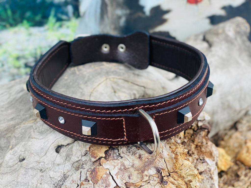 Brown Buffalo Leather Dog Collar: Black Studs & Crystals, Padded Lining