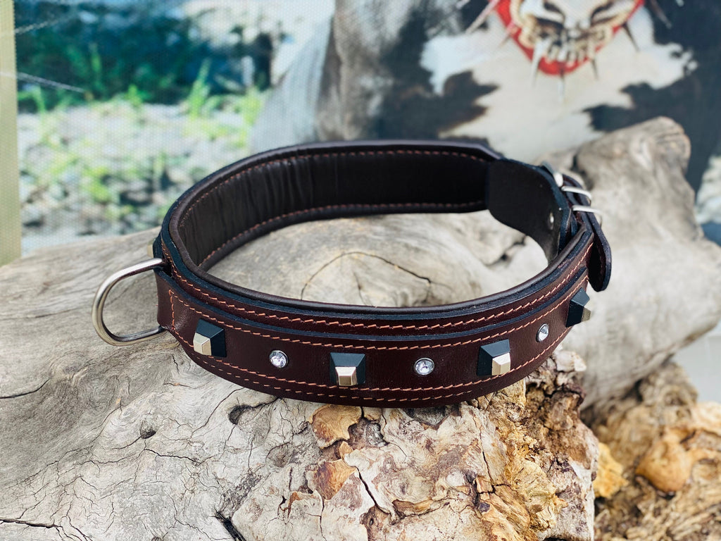 Brown Buffalo Leather Dog Collar: Black Studs & Crystals, Padded Lining
