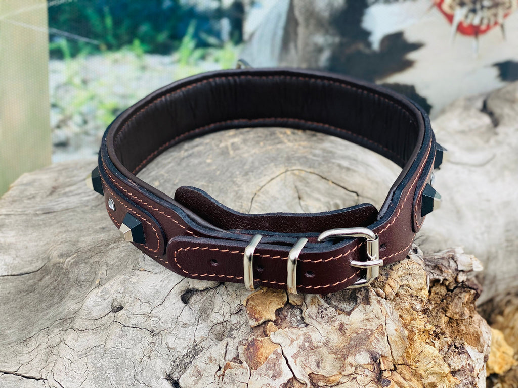 Brown Buffalo Leather Dog Collar: Black Studs & Crystals, Padded Lining