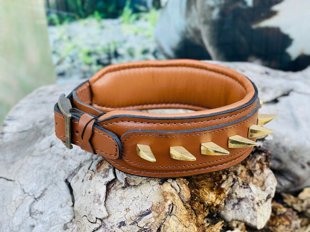 Brown Buffalo Leather Spiked Dog Collar: Handmade Brass Knuckle Emblem