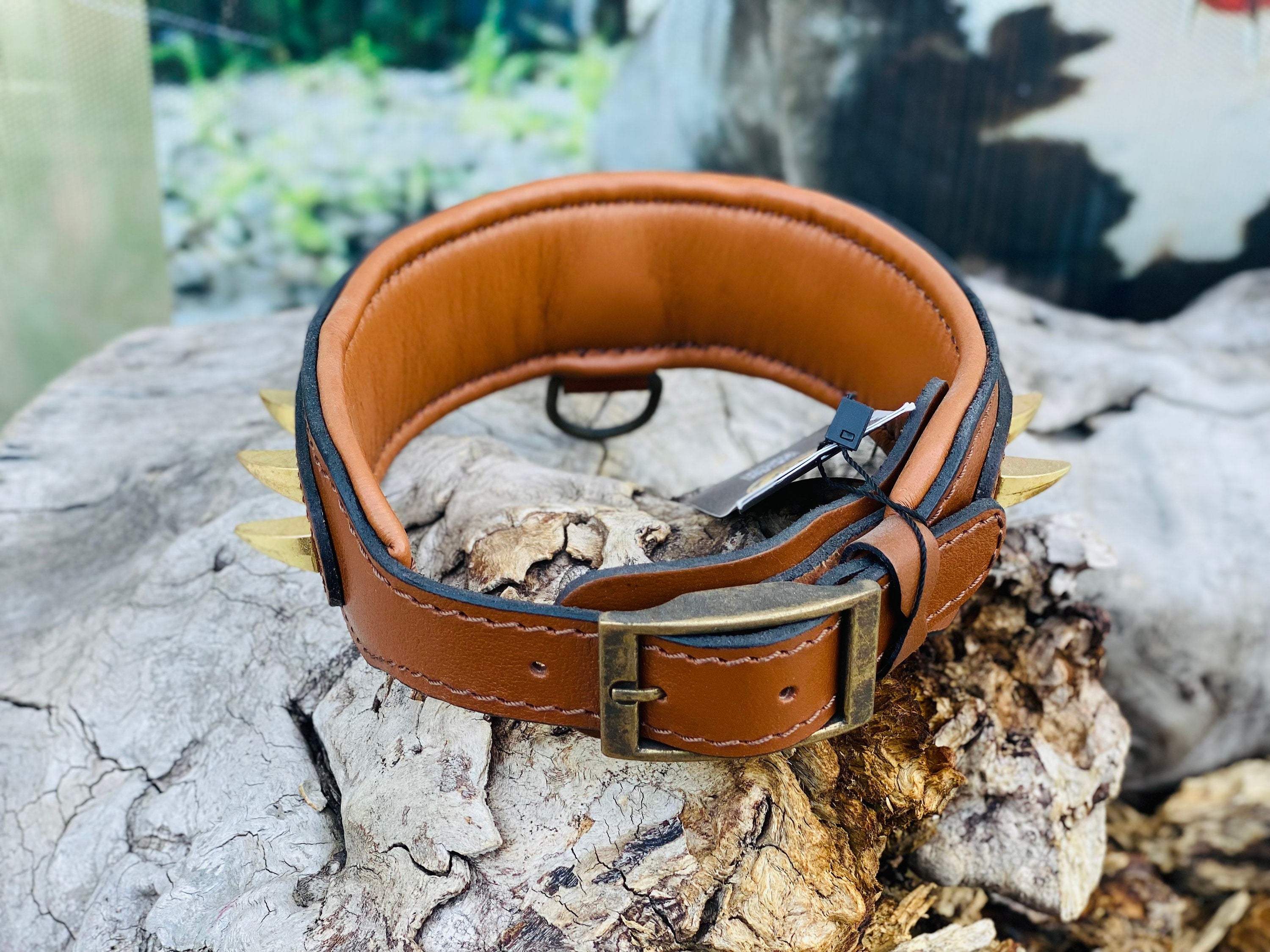 Brown Buffalo Leather Spiked Dog Collar: Handmade Brass Knuckle Emblem
