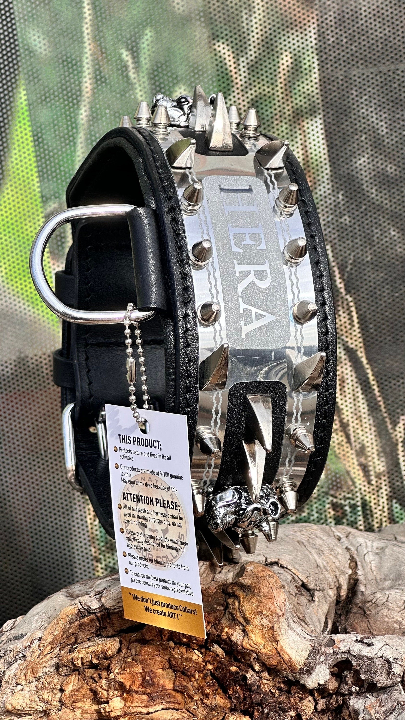 Handmade leather dog collar with custom engraved name plate from A&C Dog Collars, featuring a sturdy buckle and detailed craftsmanship.