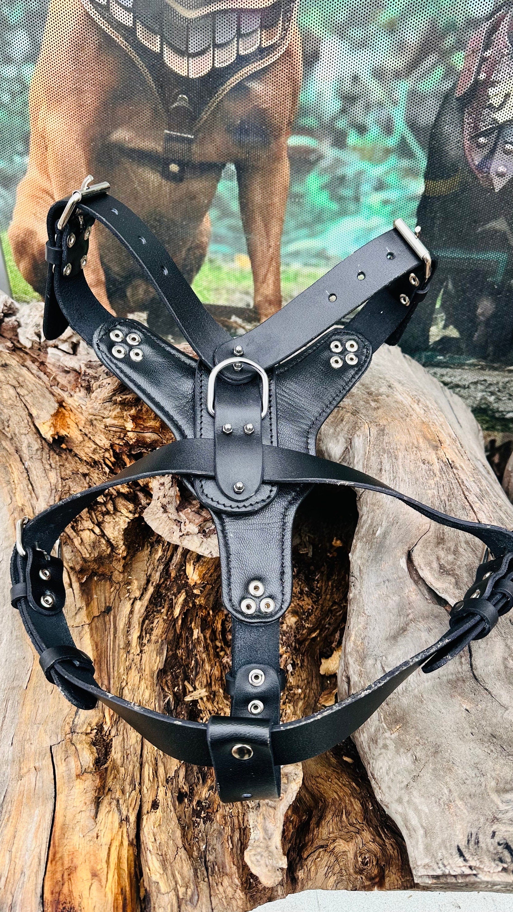 Handmade Buffalo Leather Dog Harness Set: Personalized Engraved Collar