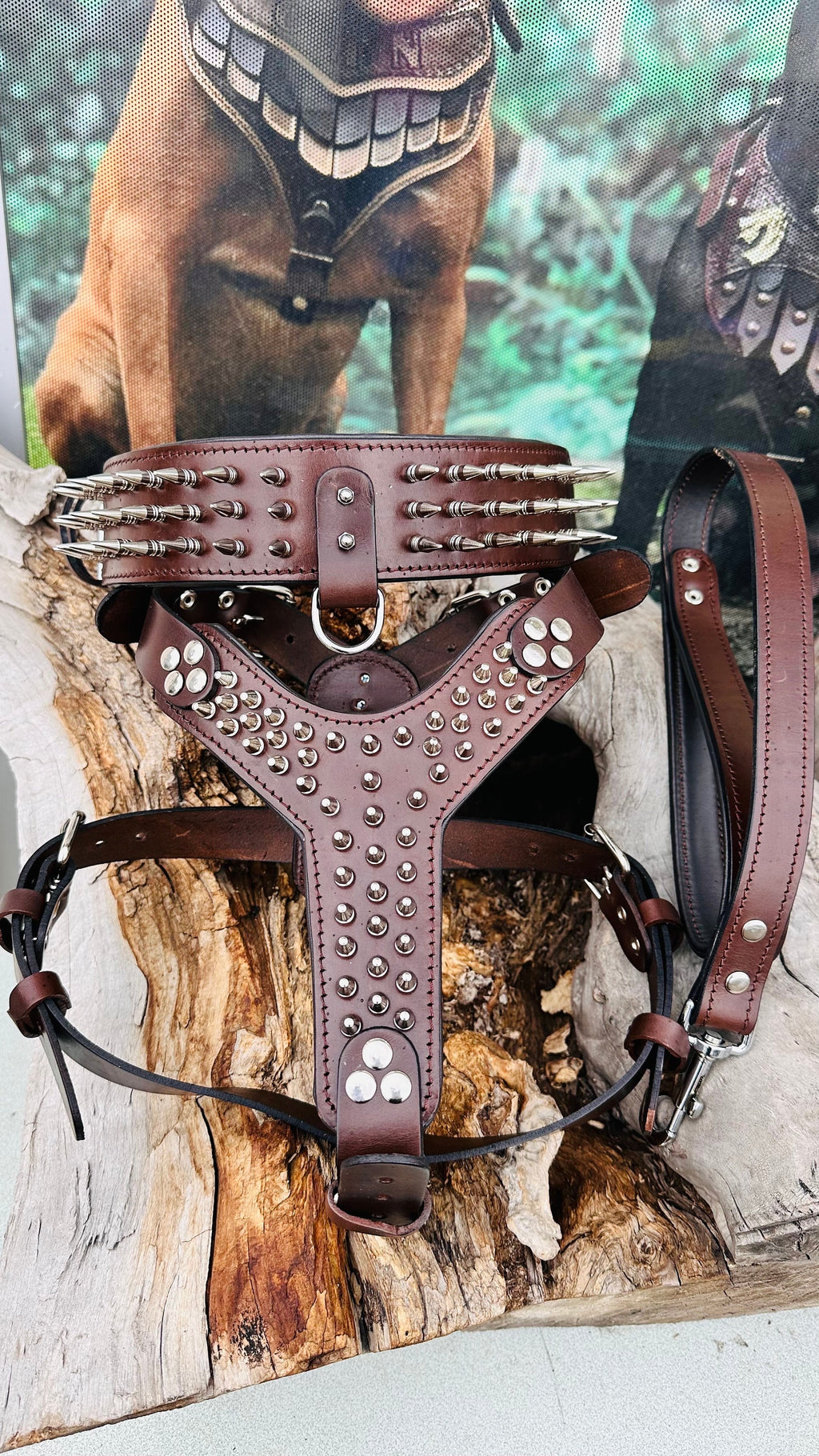 Handmade Buffalo Leather Dog Harness Set: Personalized Spiked Collar