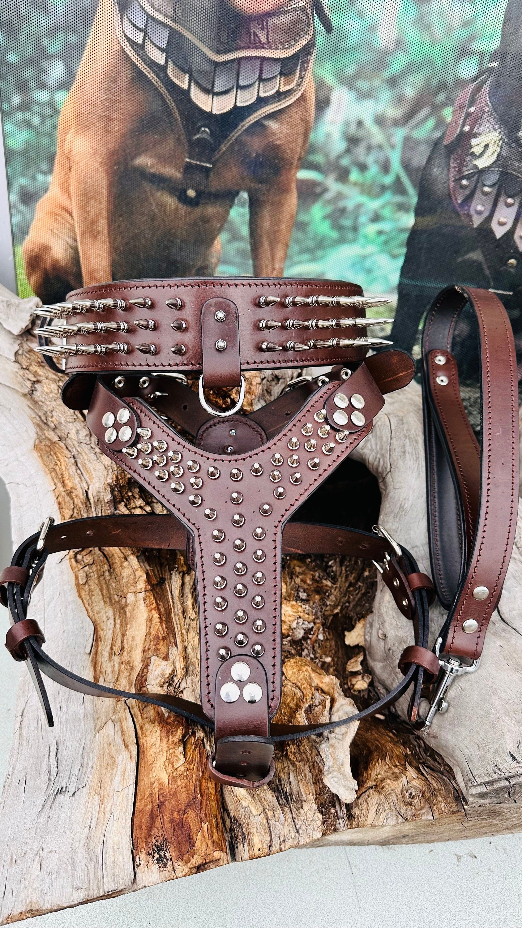 Handmade Buffalo Leather Dog Harness Set: Personalized Spiked Collar