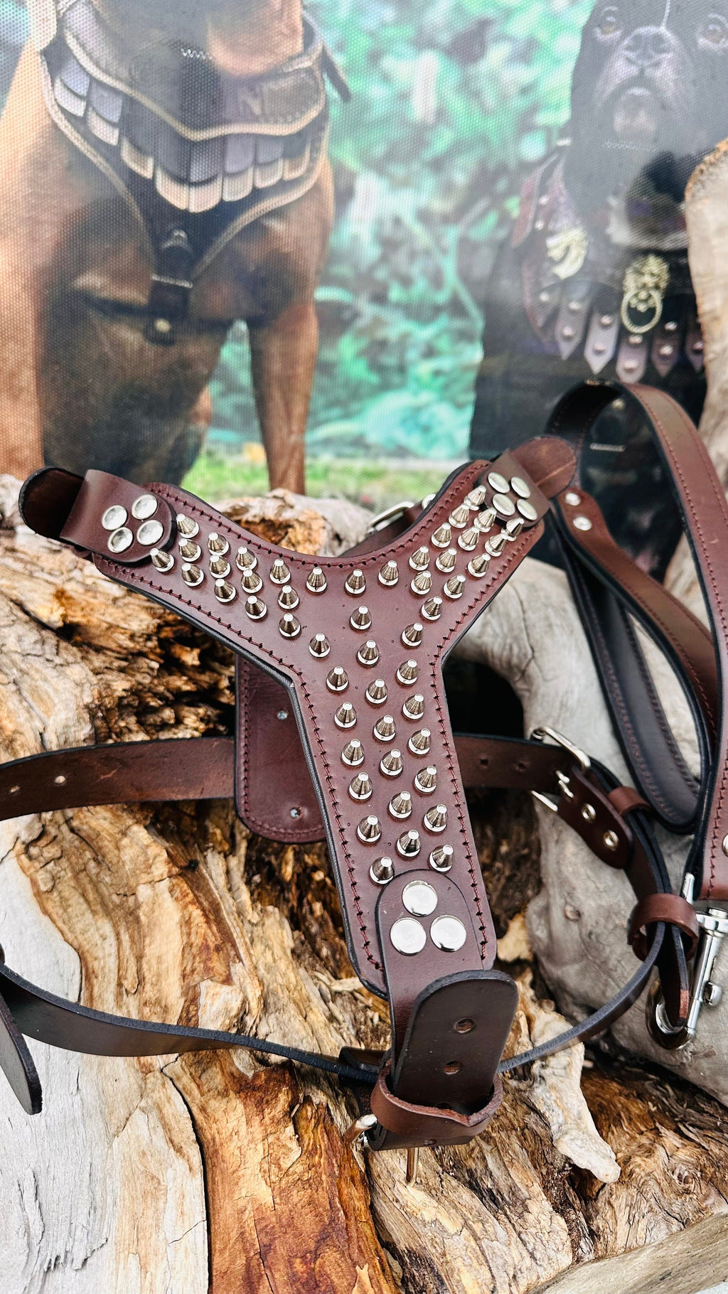 Handmade Buffalo Leather Dog Harness Set: Personalized Spiked Collar