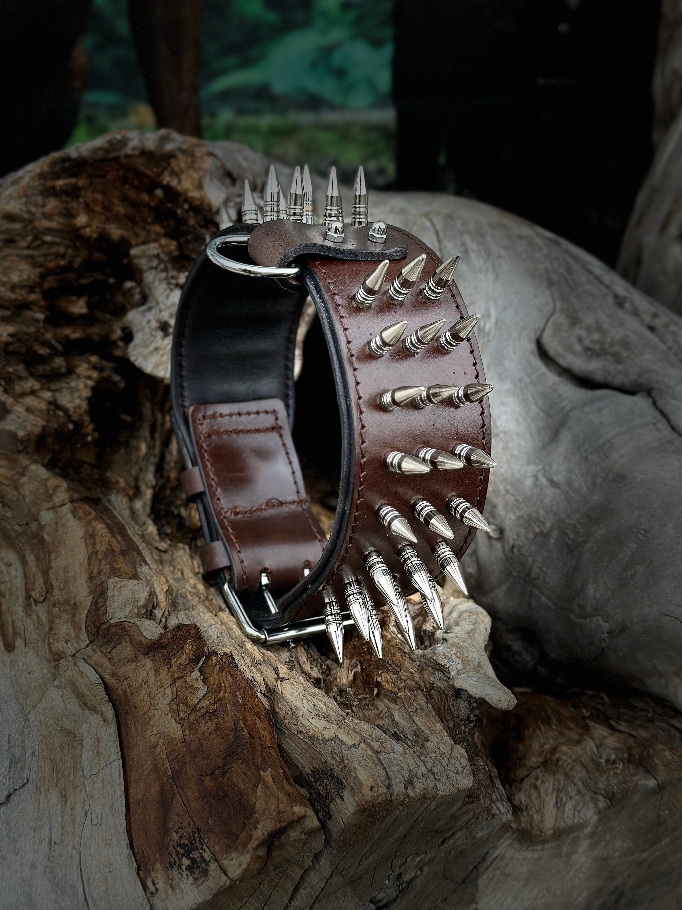 Handmade Buffalo Leather Dog Harness Set: Personalized Spiked Collar