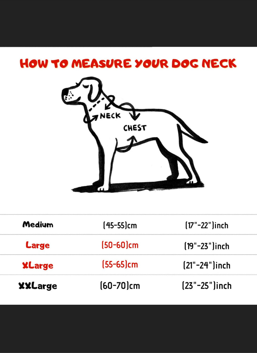 b6abe03a-1692-4469-b471-79a4b1e4a53d