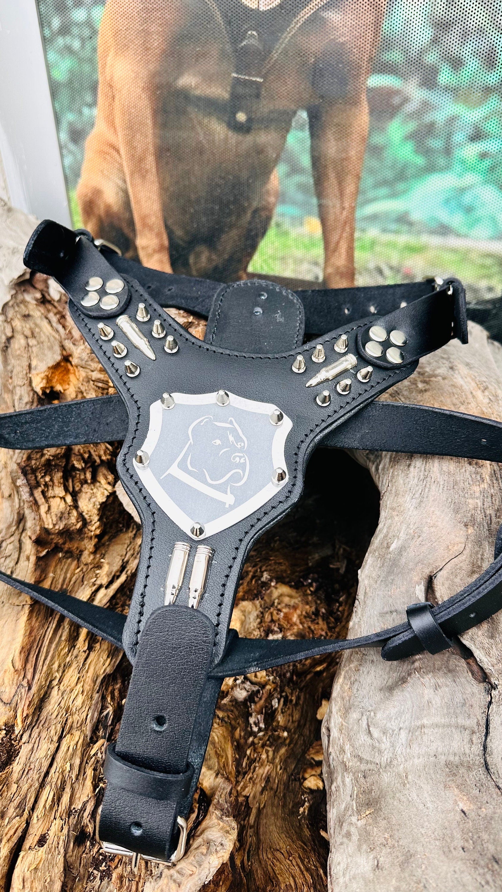 Handmade Buffalo Leather Dog Harness Set: Personalized Engraved Collar