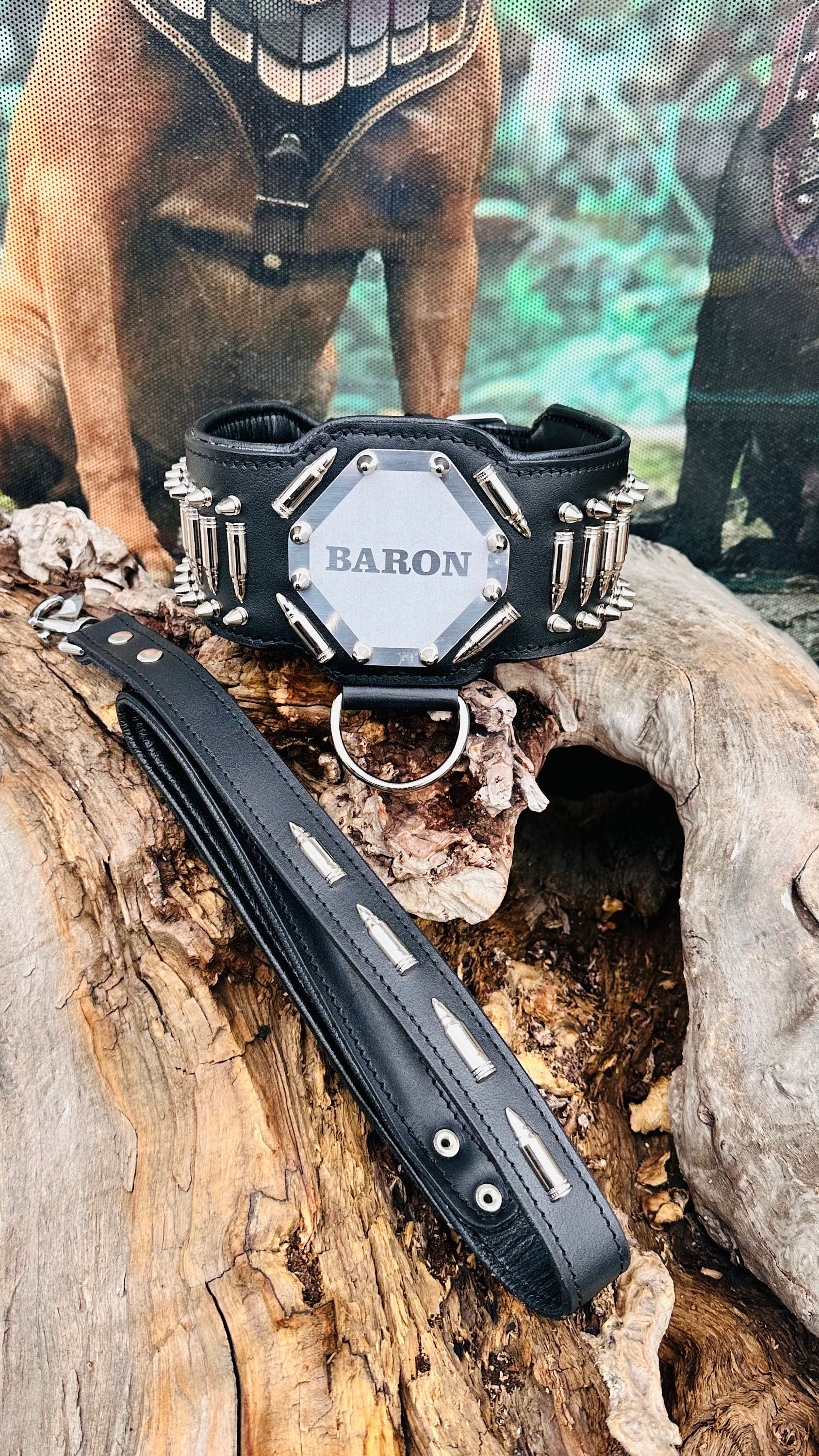 Handmade Buffalo Leather Dog Harness Set: Personalized Engraved Collar