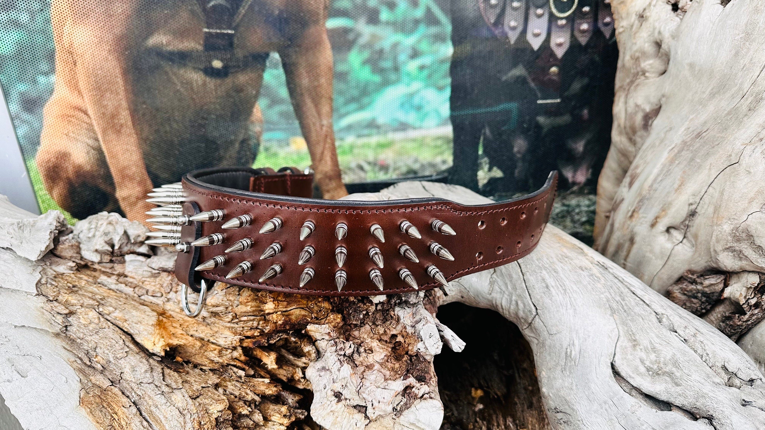 Handmade Buffalo Leather Dog Harness Set: Personalized Spiked Collar