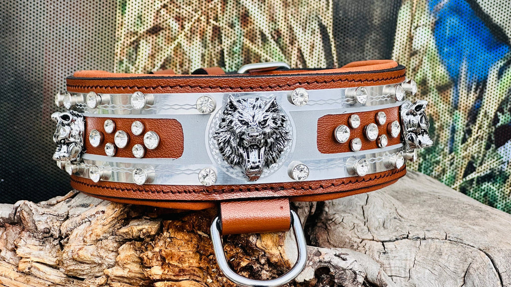 bde59545-2cba-43ac-b8a2-25072fec9c09