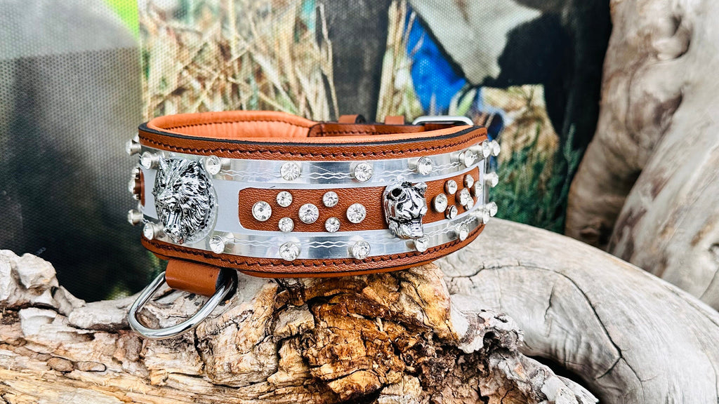 ca6059cd-93db-4f52-9dda-104eb9ad696f