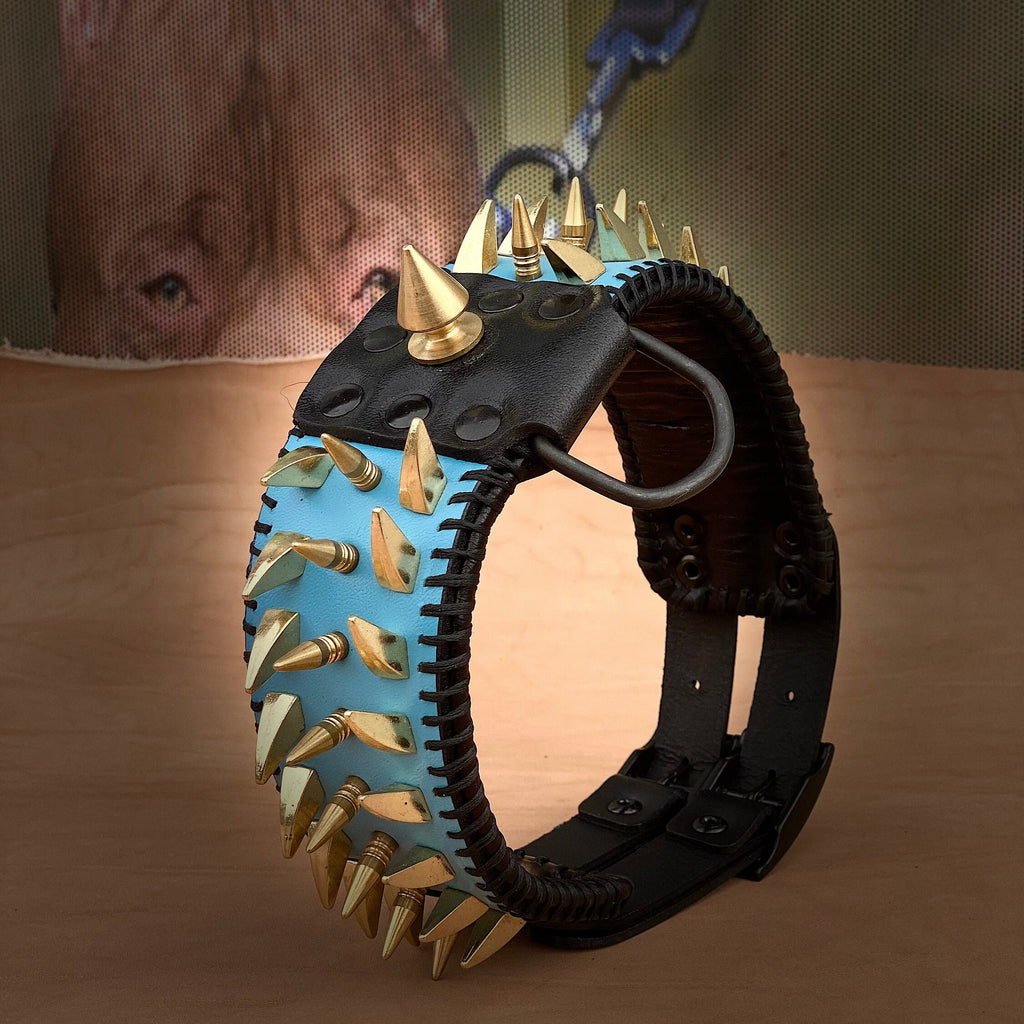Turquoise Spiked Leather Dog Collar: Gold Spikes, Black Stitch - American Bully