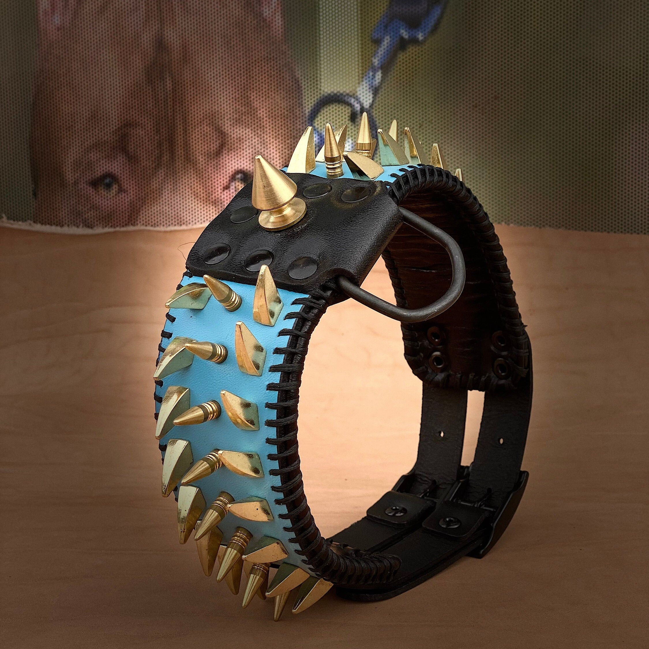Turquoise Spiked Leather Dog Collar: Gold Spikes, Black Stitch - American Bully