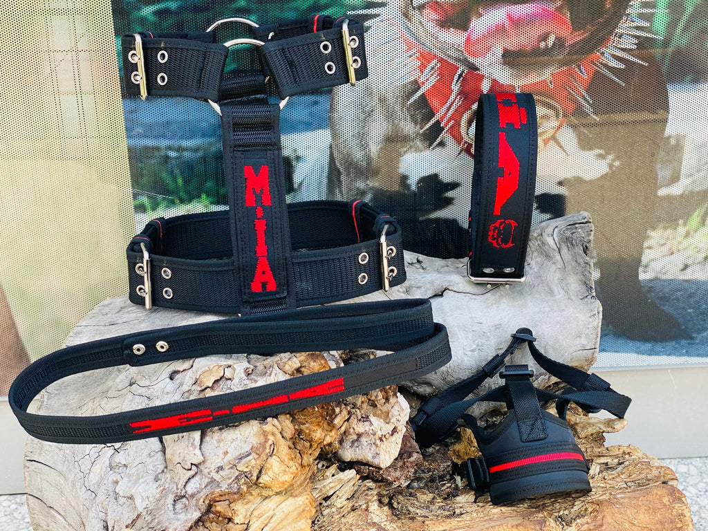 Embroidered Nylon Dog Collar Harness Leash Set: Heavy Duty, Personalized