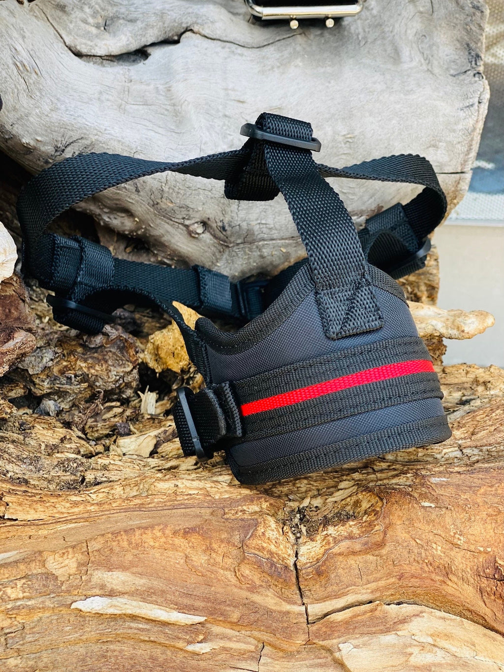 Embroidered Nylon Dog Collar Harness Leash Set: Heavy Duty, Personalized