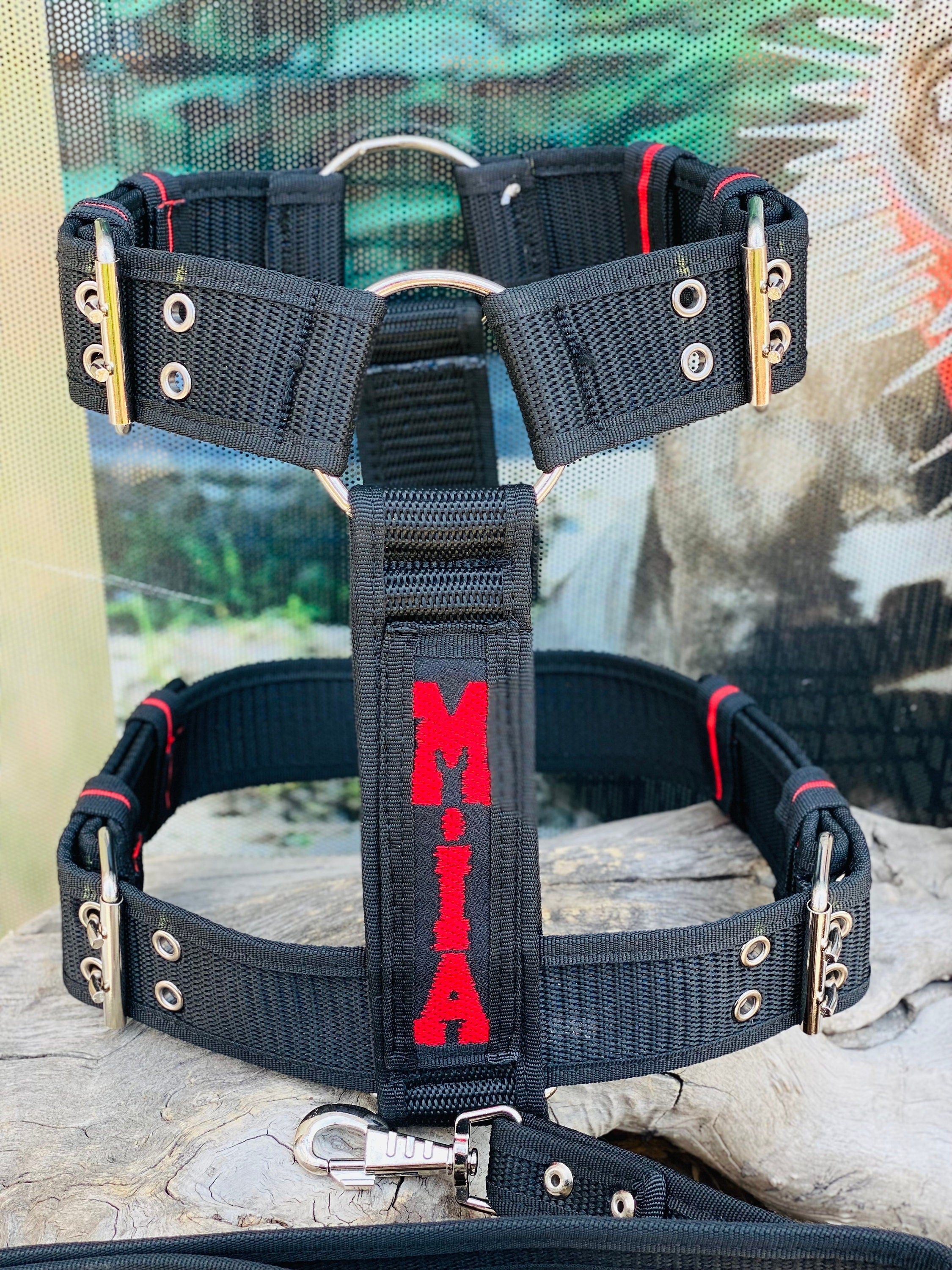 Embroidered Nylon Dog Collar Harness Leash Set: Heavy Duty, Personalized