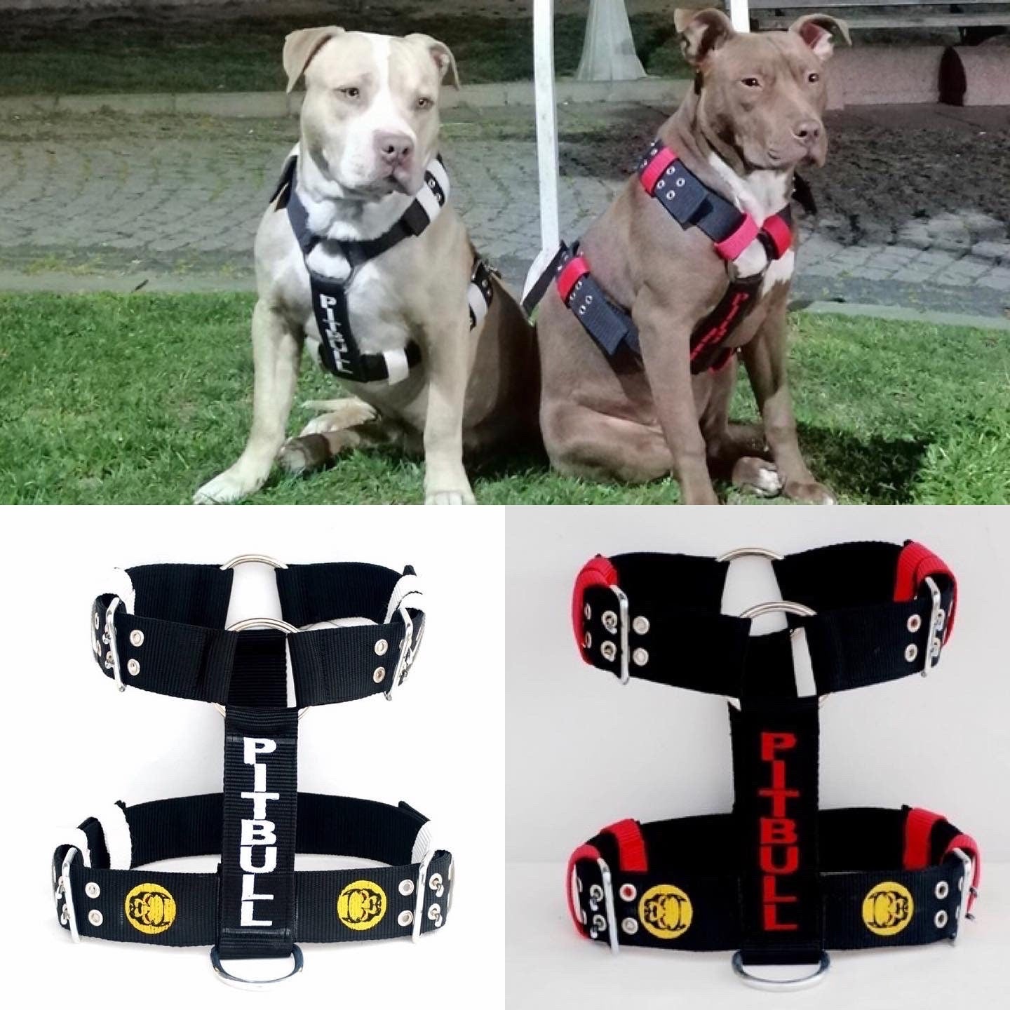 Embroidered Nylon Dog Collar Harness Leash Set: Heavy Duty, Personalized