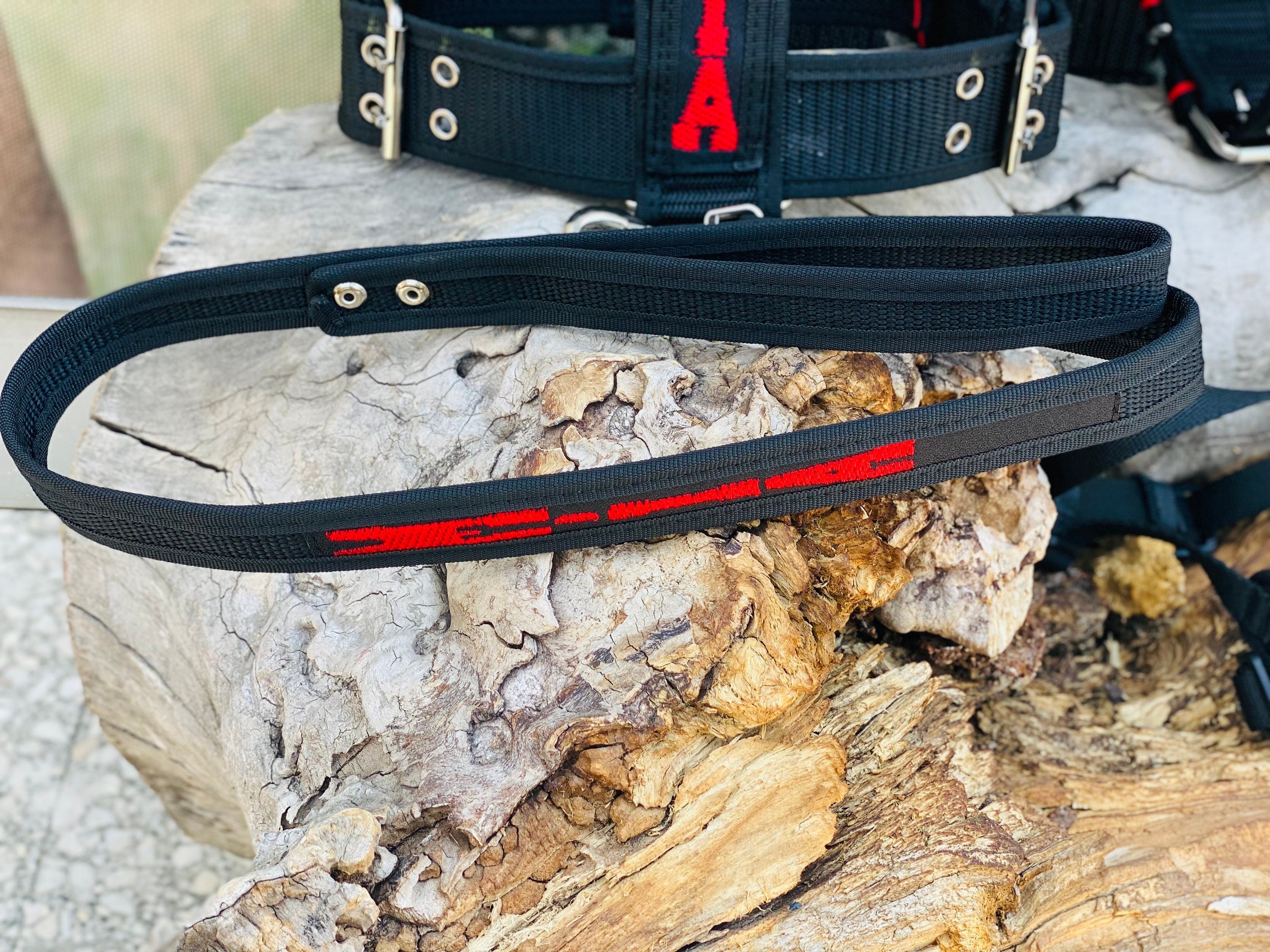 Embroidered Nylon Dog Collar Harness Leash Set: Heavy Duty, Personalized